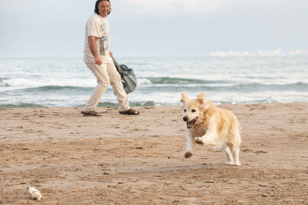 #fotografía de perros en playa